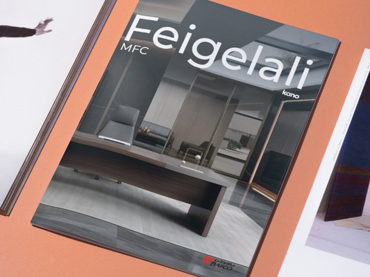Feigelali MFC Executive Brochure (3MB)