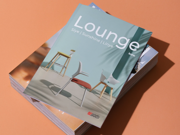 2026 Casual Chair Collection (4MB)